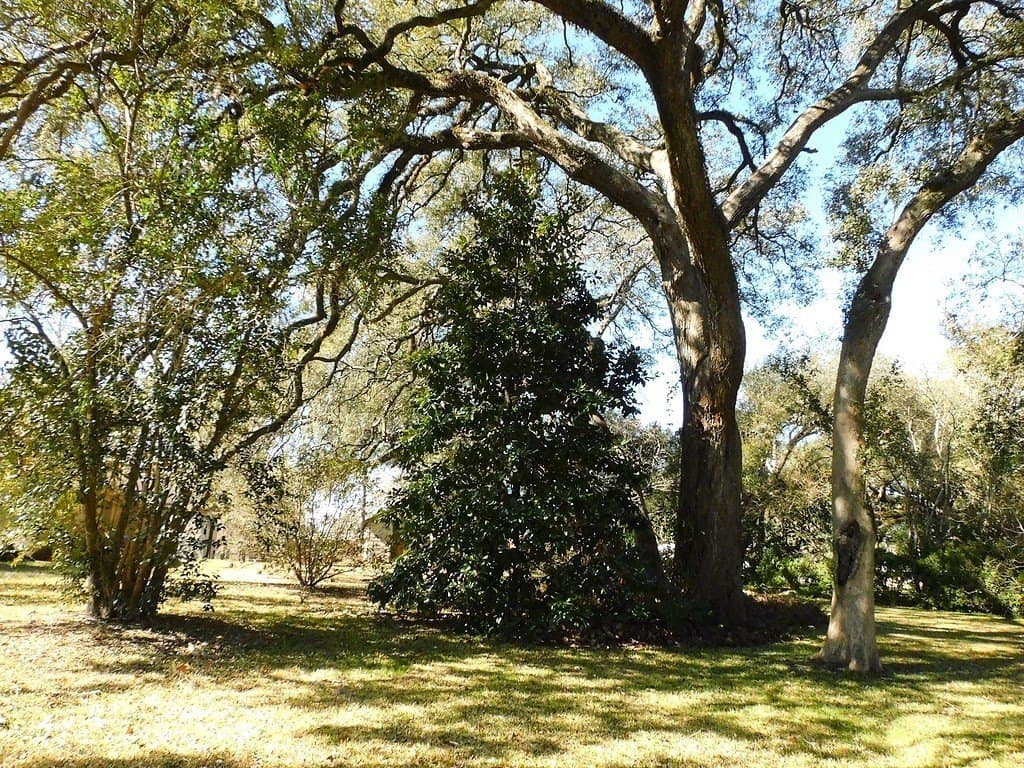 10.71 acres in Washington County - photo 4