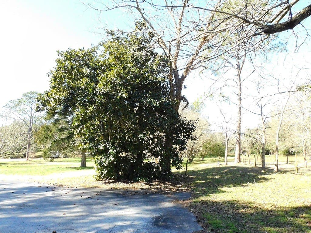 10.71 acres in Washington County - photo 8