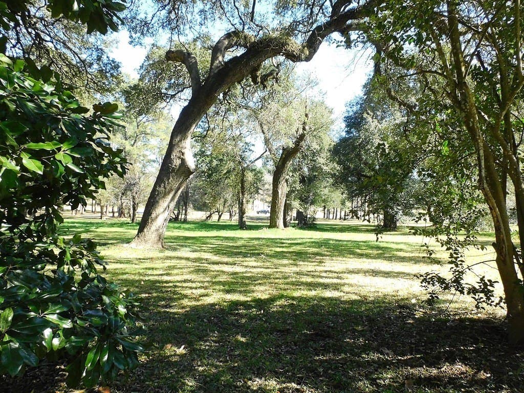 10.71 acres in Washington County - photo 5