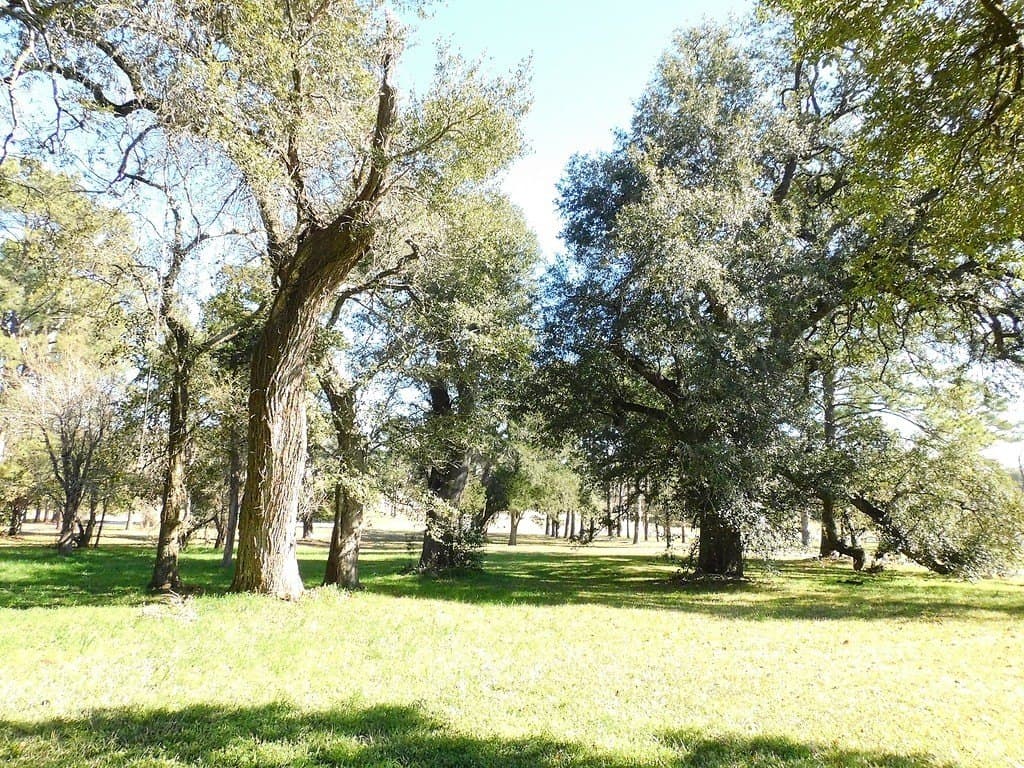 10.71 acres in Washington County - photo 2