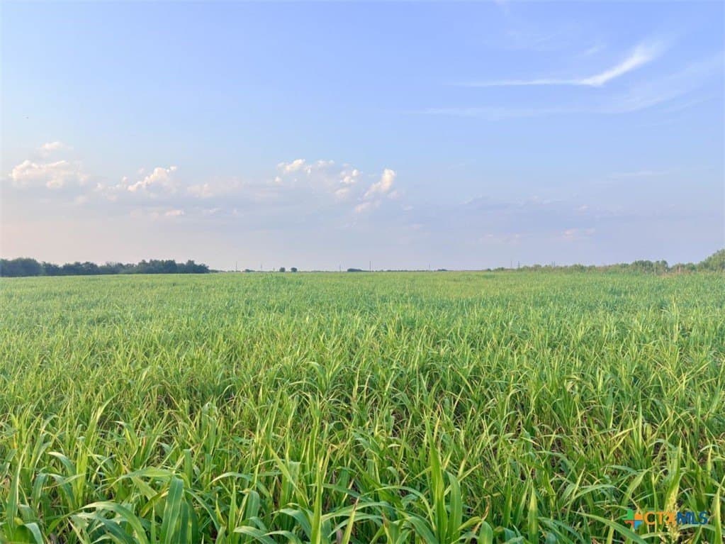 11.88 acres in Milam County - photo 18