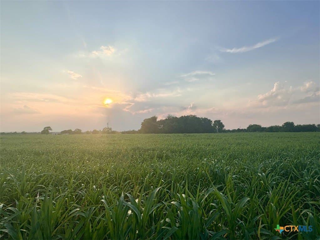 11.88 acres in Milam County - photo 19