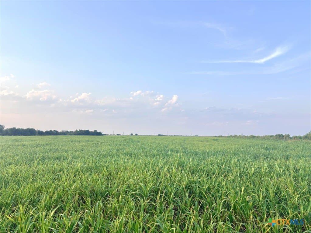 11.88 acres in Milam County - photo 21