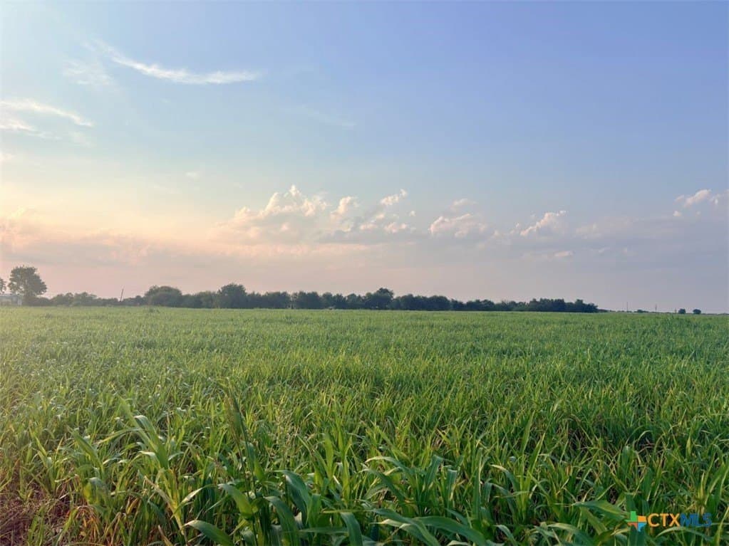 11.88 acres in Milam County - photo 20