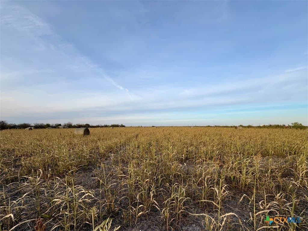 11.88 acres in Milam County