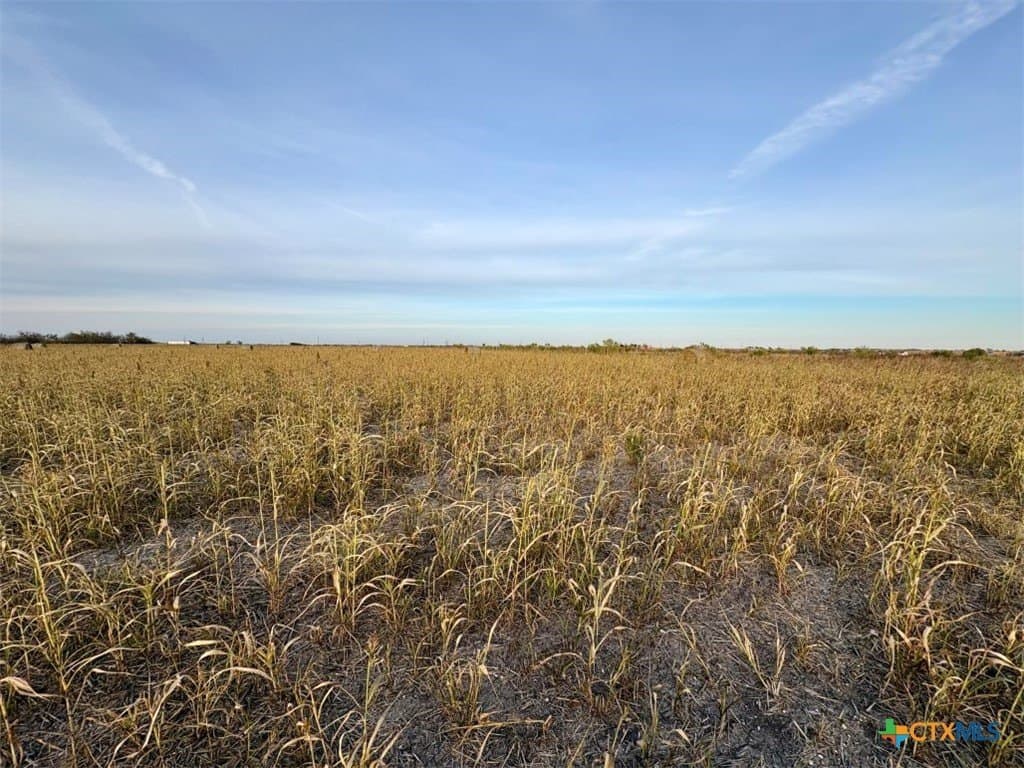 11.88 acres in Milam County gallery image 2