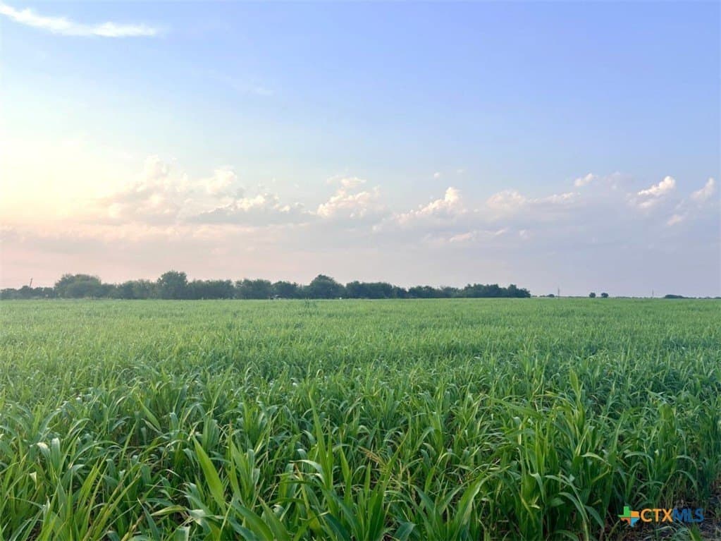 11.88 acres in Milam County - photo 22