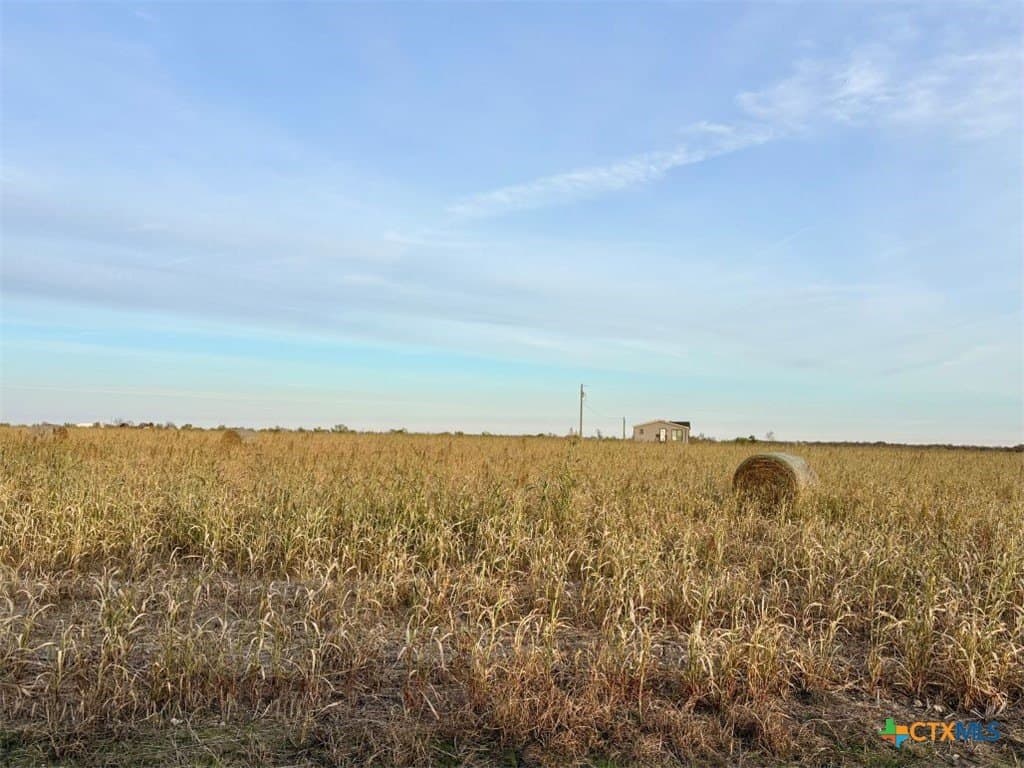 11.88 acres in Milam County gallery image 3