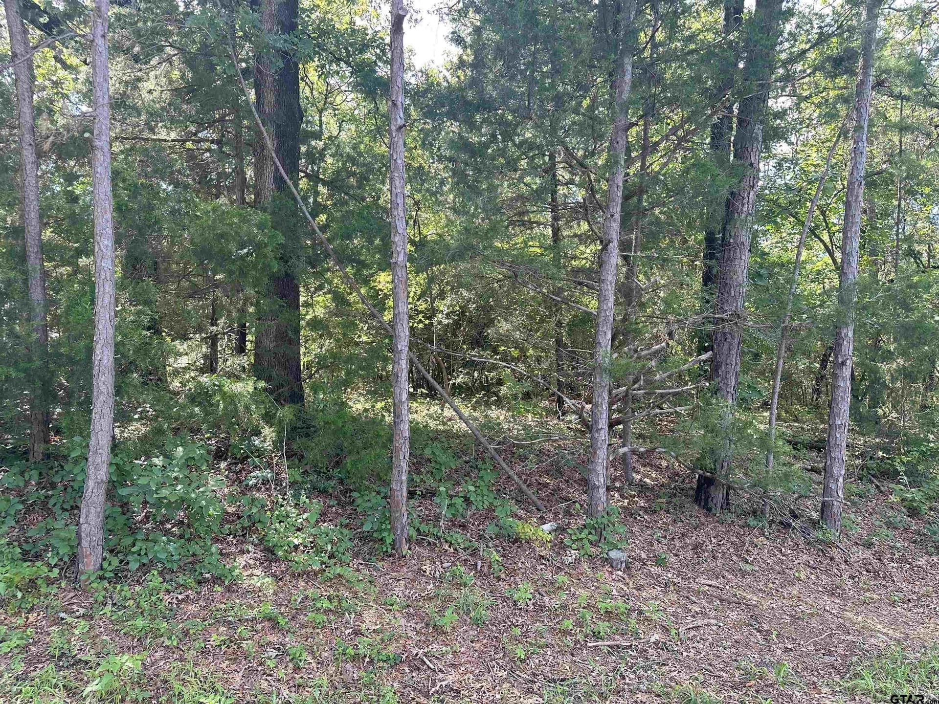 25,000 acres in Smith County - photo 3