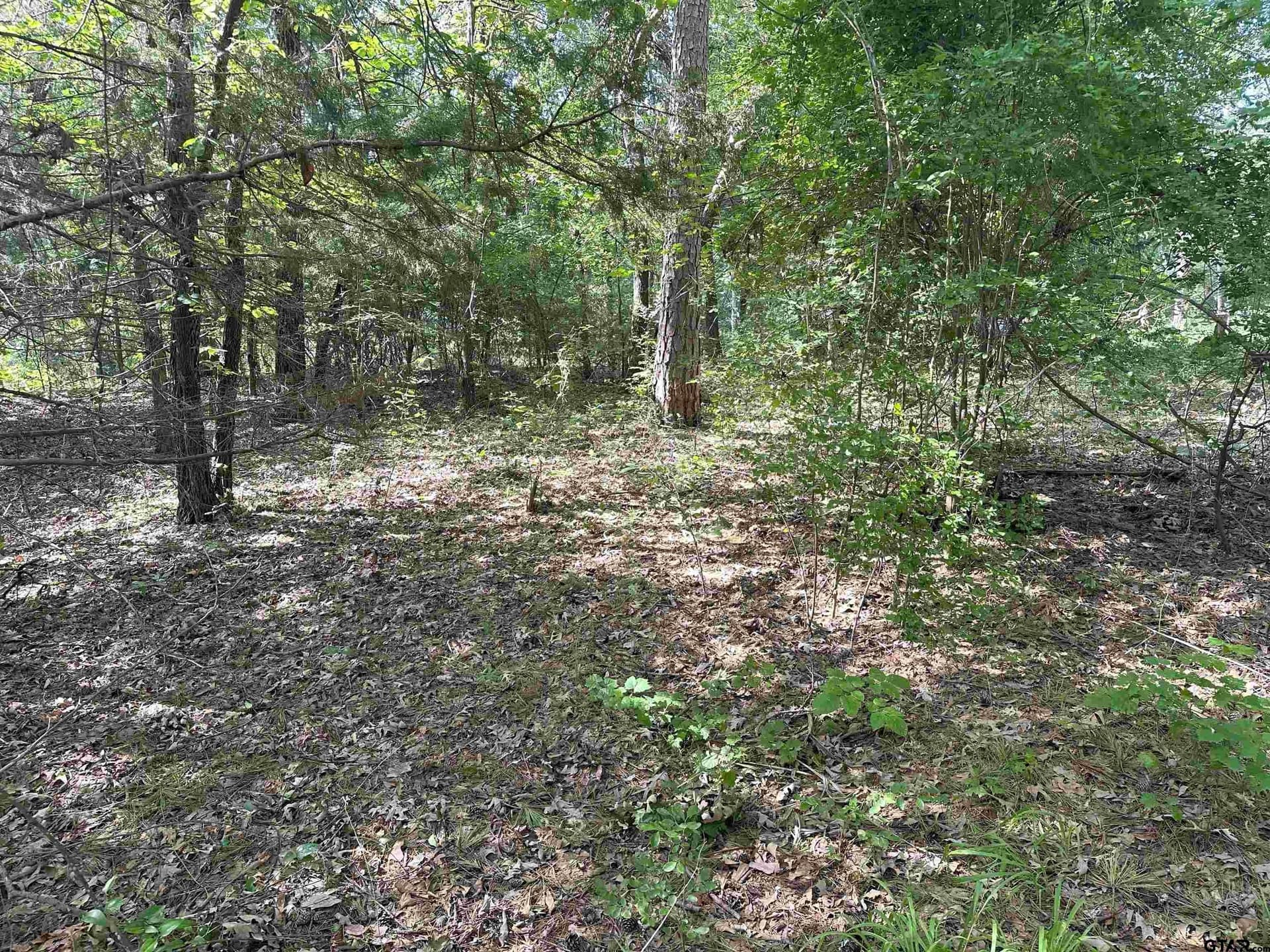 25,000 acres in Smith County - photo 11
