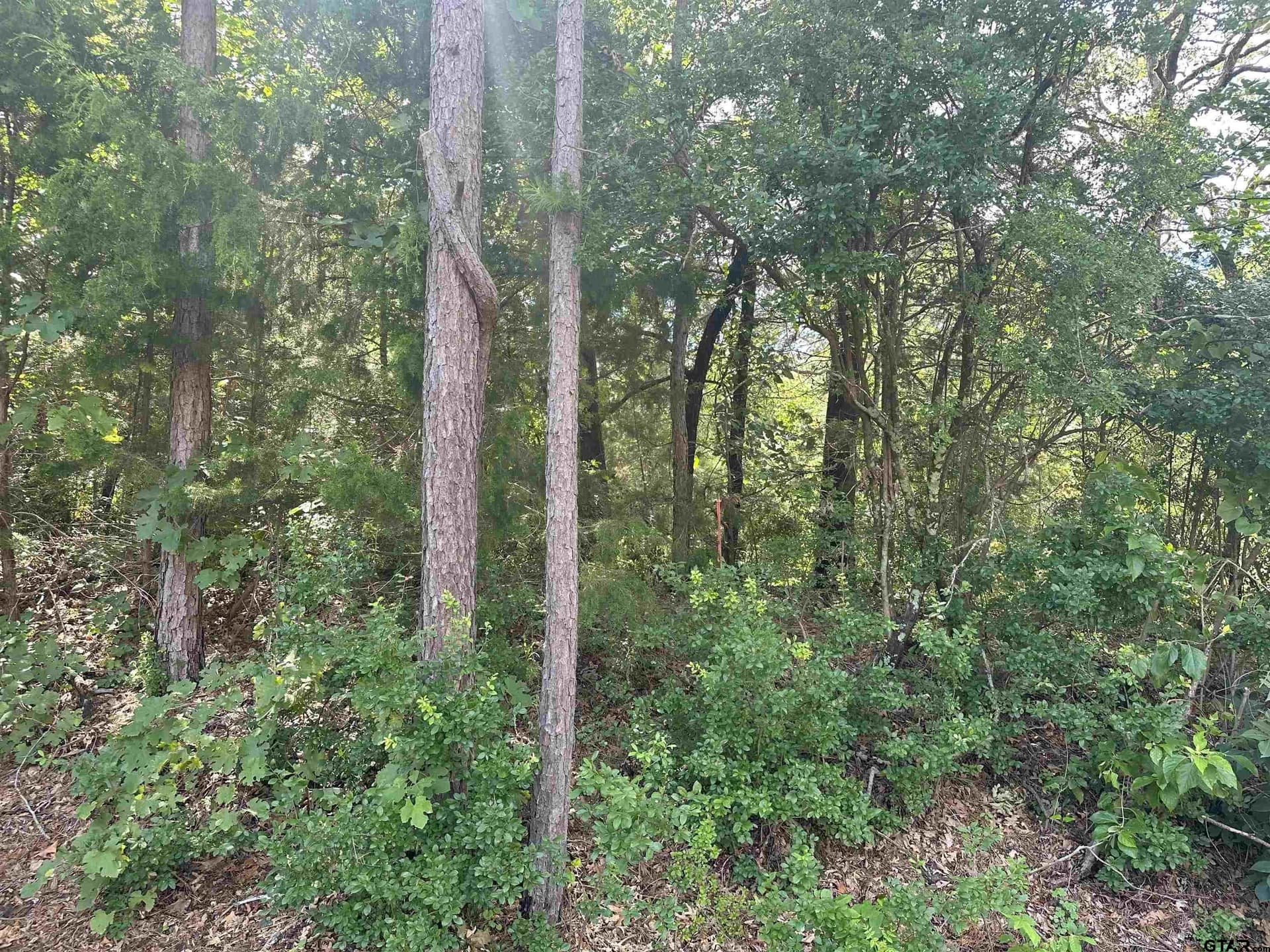 25,000 acres in Smith County - photo 4