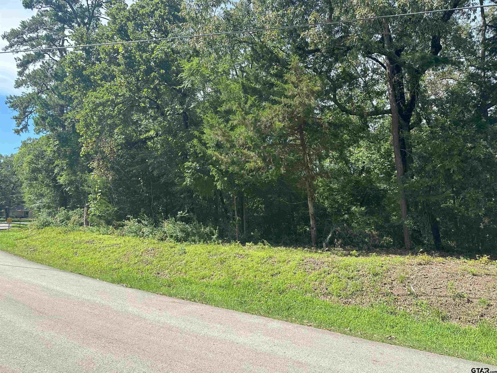 25,000 acres in Smith County - photo 2