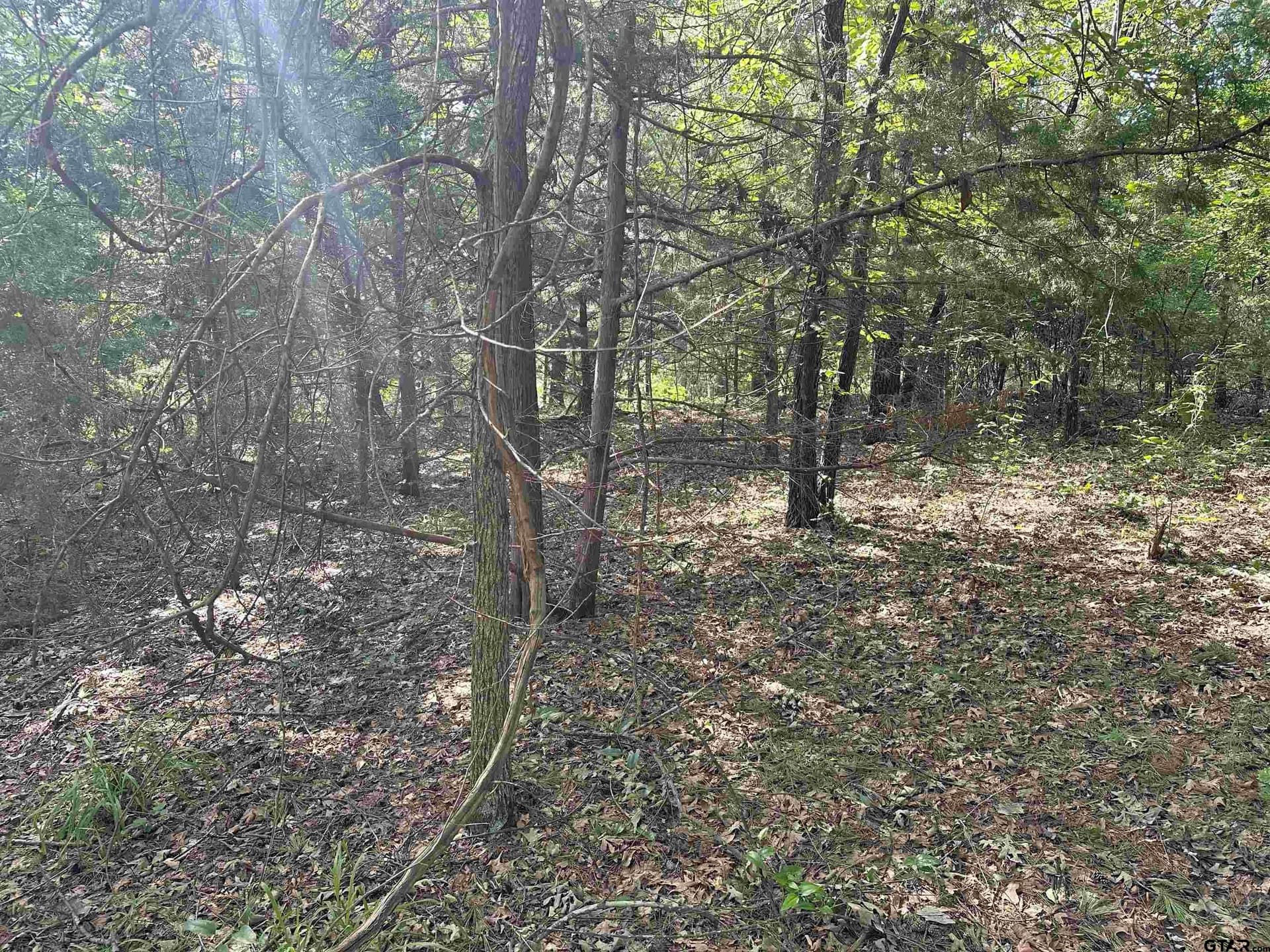 25,000 acres in Smith County - photo 10