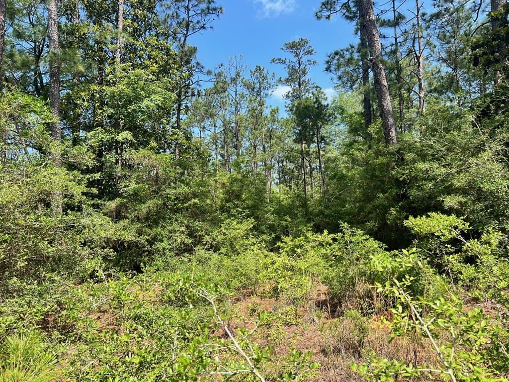 2.6 acres in Texas County featured view
