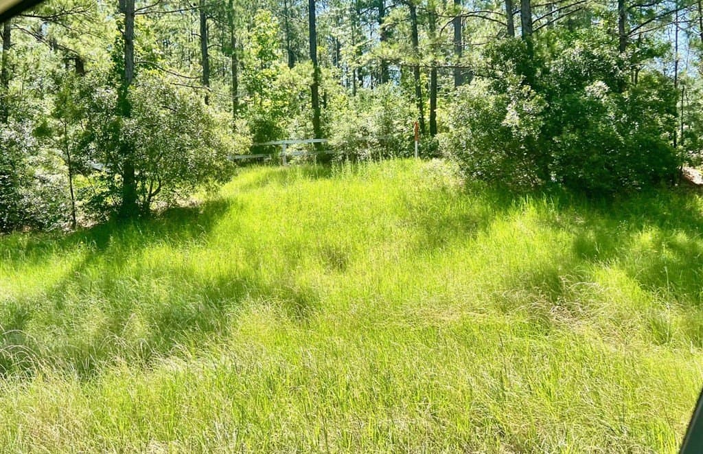 2.6 acres in Texas County gallery image 3