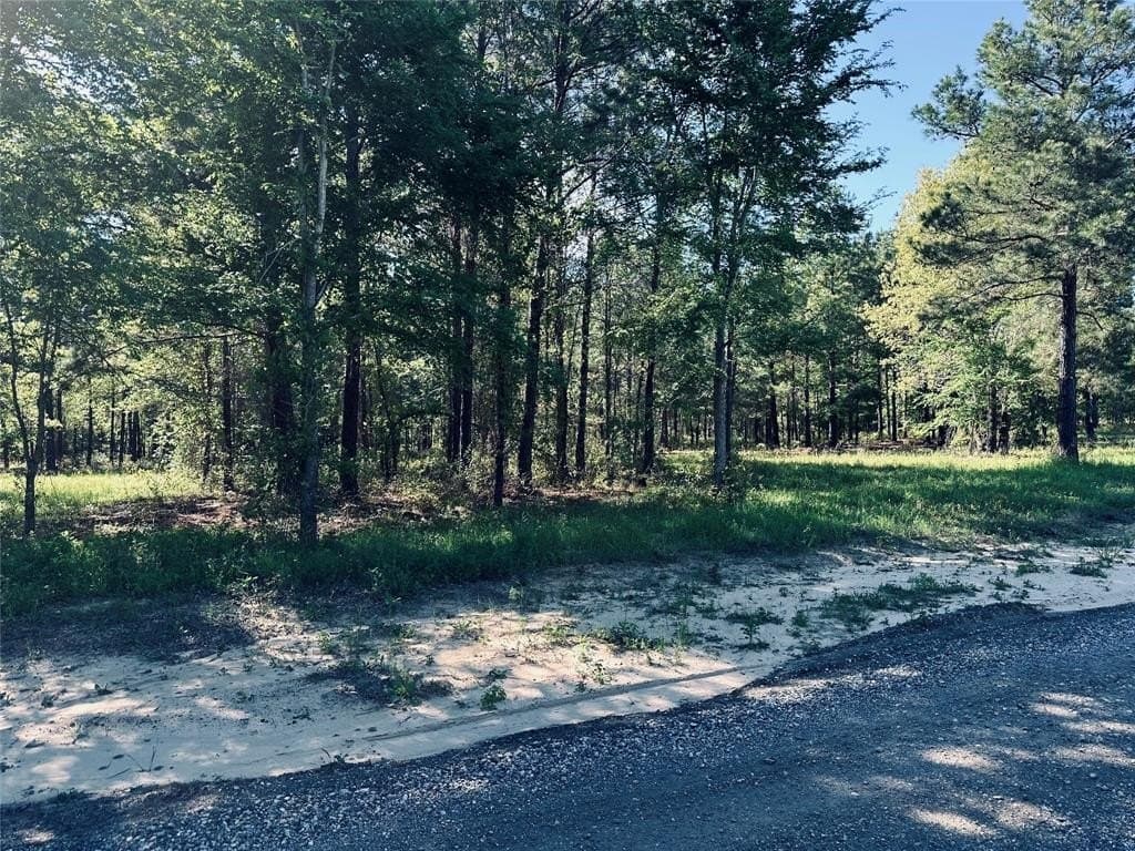 10.75 acres in Cherokee County gallery image 3