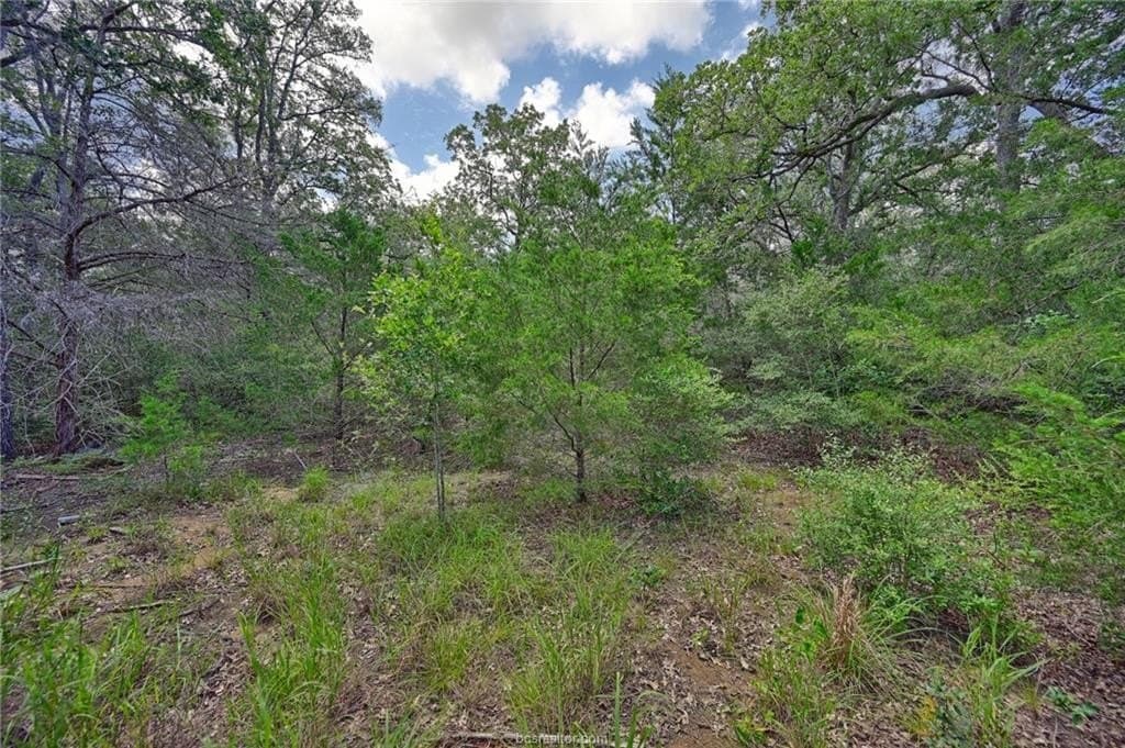 0.4 acres in Burleson County - photo 11