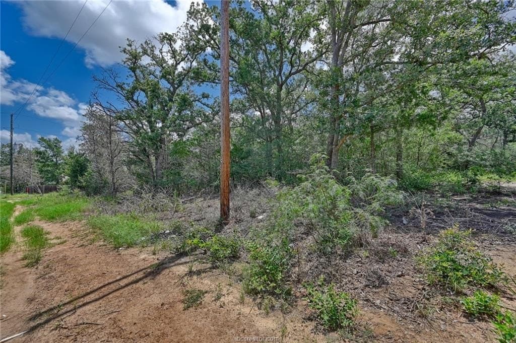 0.4 acres in Burleson County gallery image 4