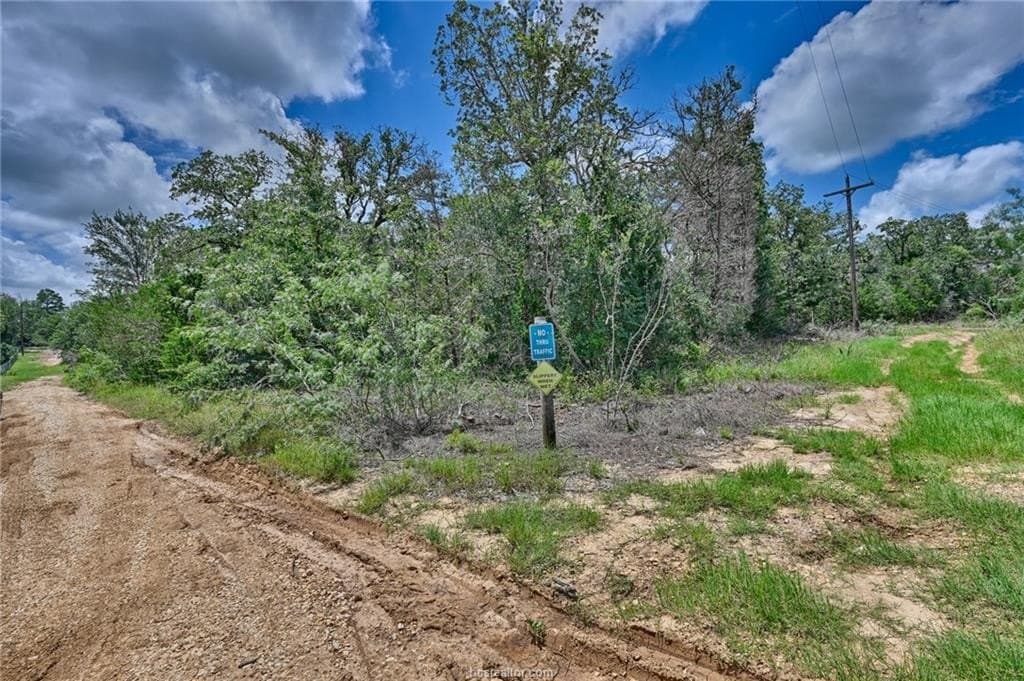0.4 acres in Burleson County gallery image 2