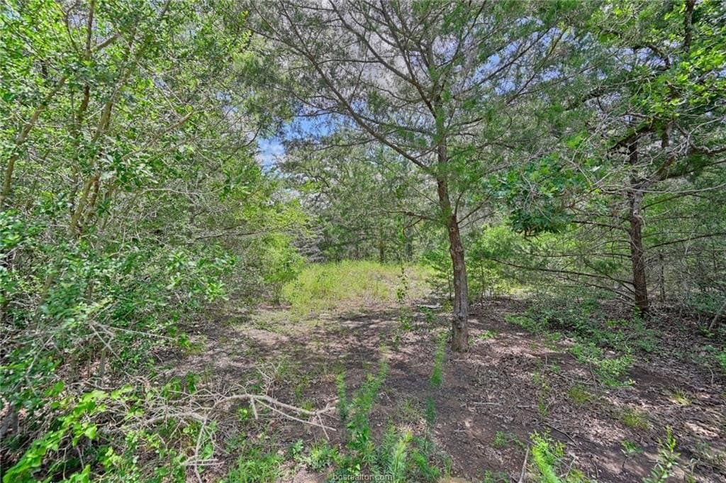 0.4 acres in Burleson County - photo 9