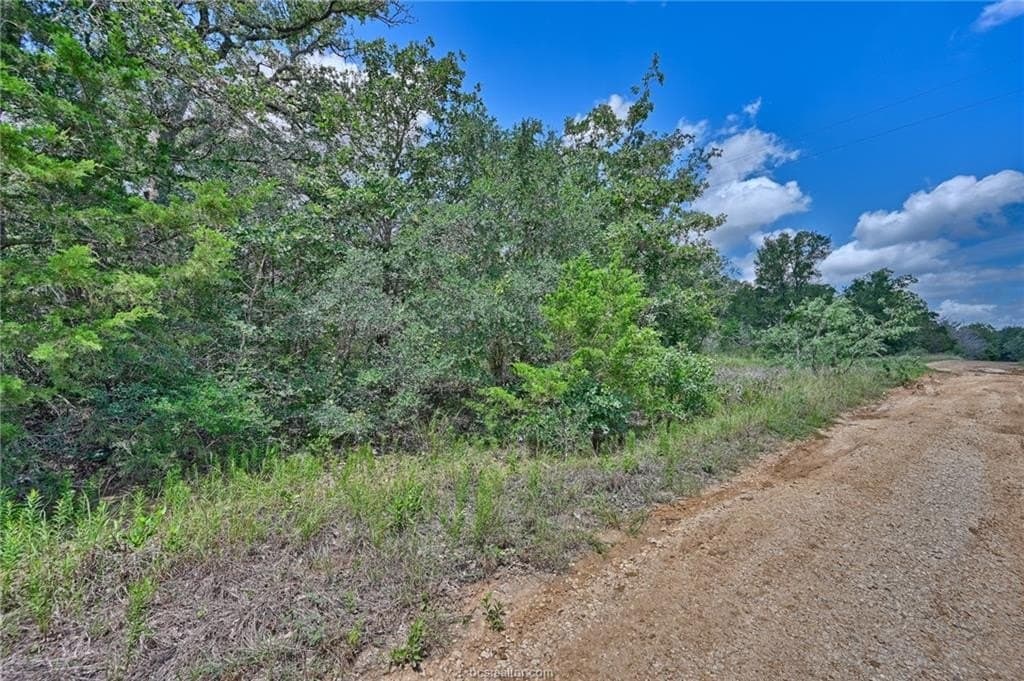 0.4 acres in Burleson County - photo 6