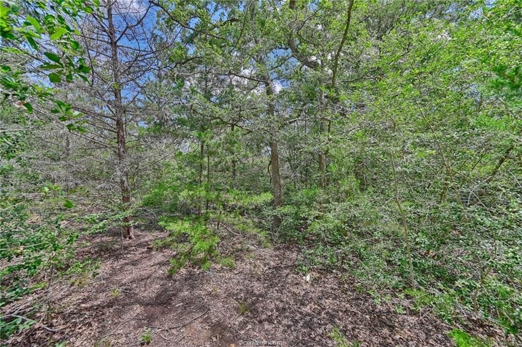 0.4 acres in Burleson County - photo 10