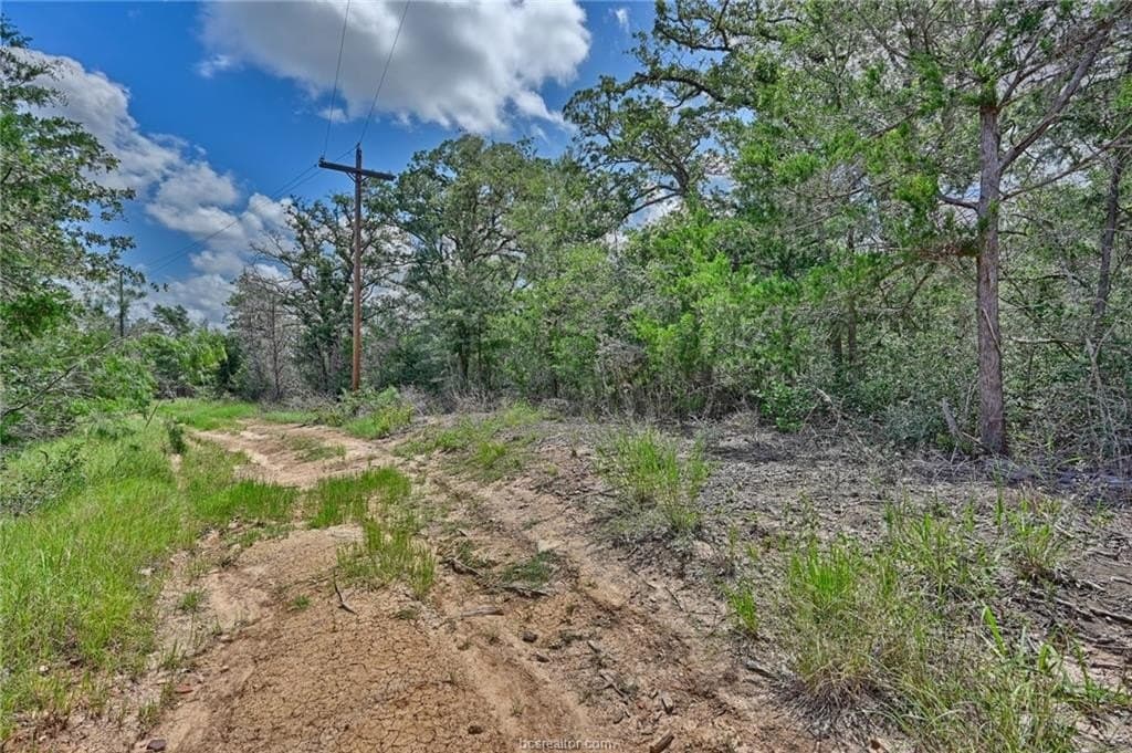 0.4 acres in Burleson County featured view