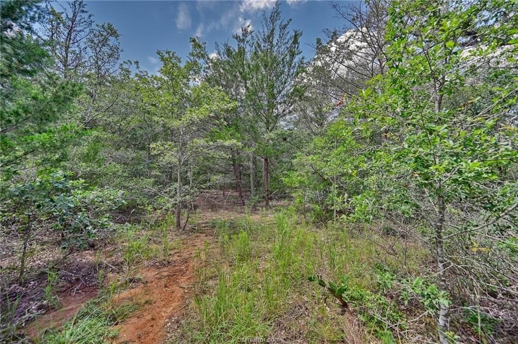 0.4 acres in Burleson County - photo 8