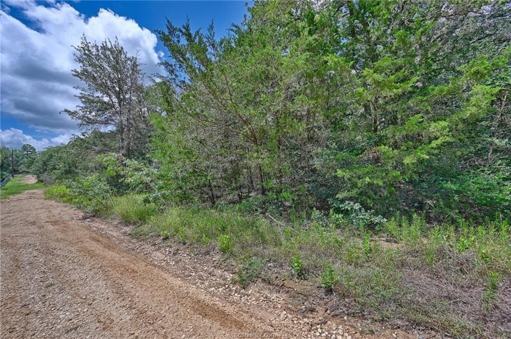 0.4 acres in Burleson County - photo 7