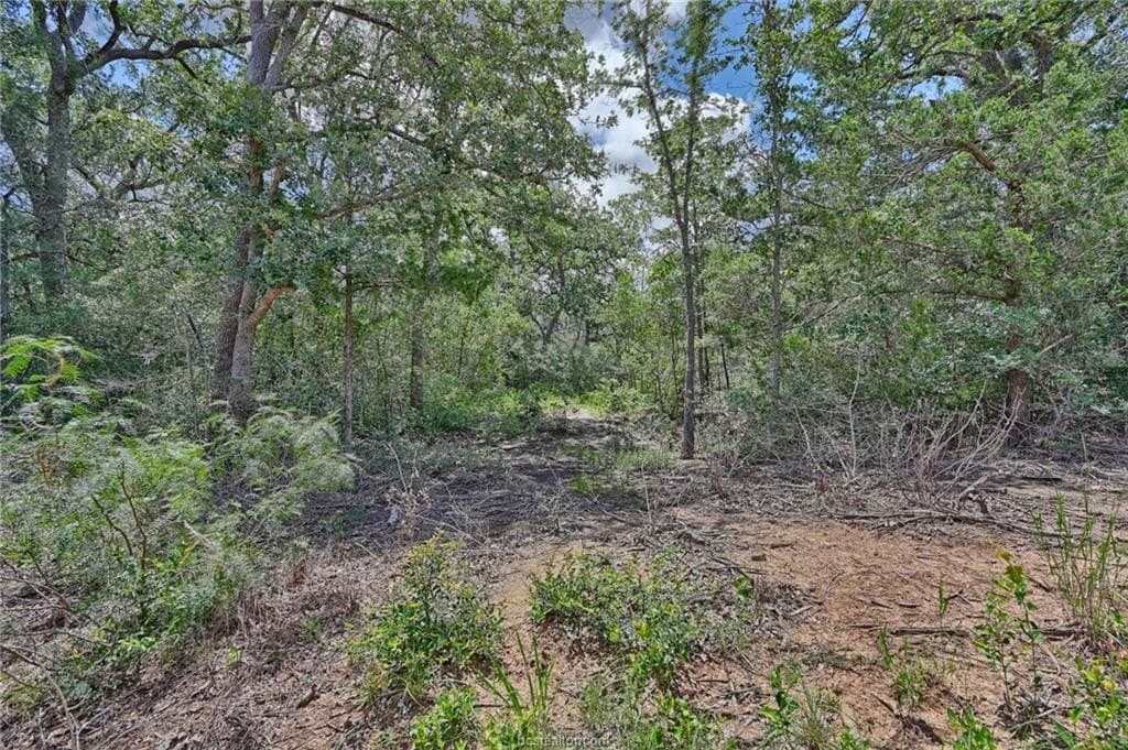 0.4 acres in Burleson County gallery image 3