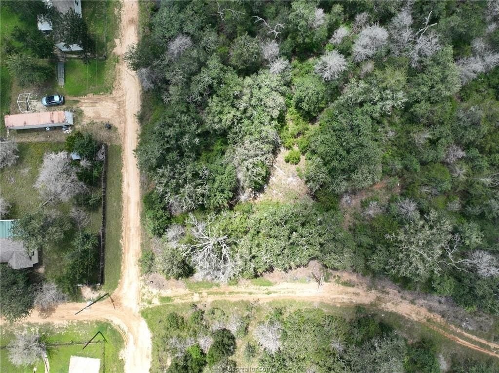 0.4 acres in Burleson County - photo 24