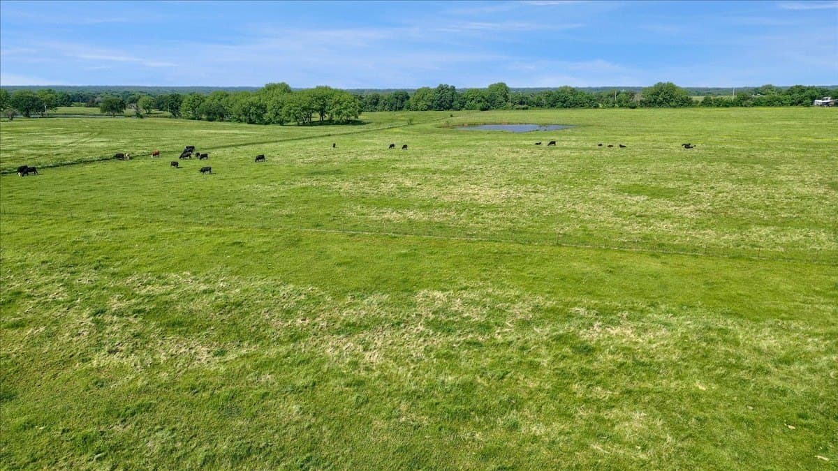 56.62 acres in Grayson County - photo 8