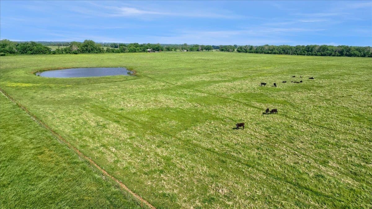 56.62 acres in Grayson County - photo 9