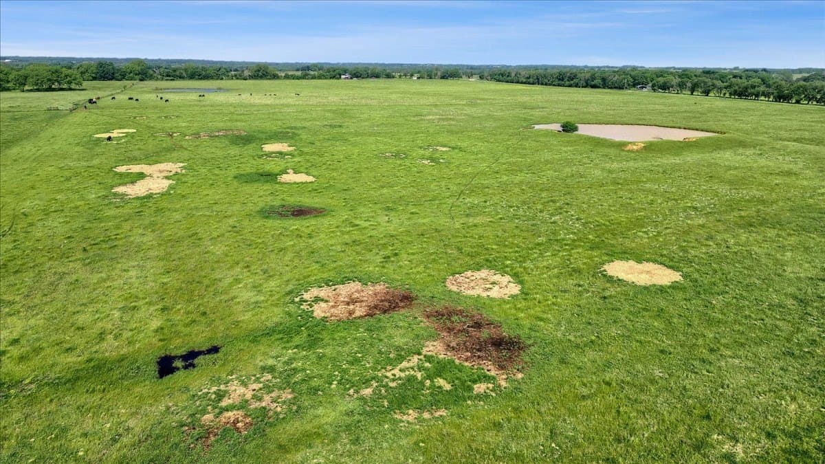 56.62 acres in Grayson County featured view