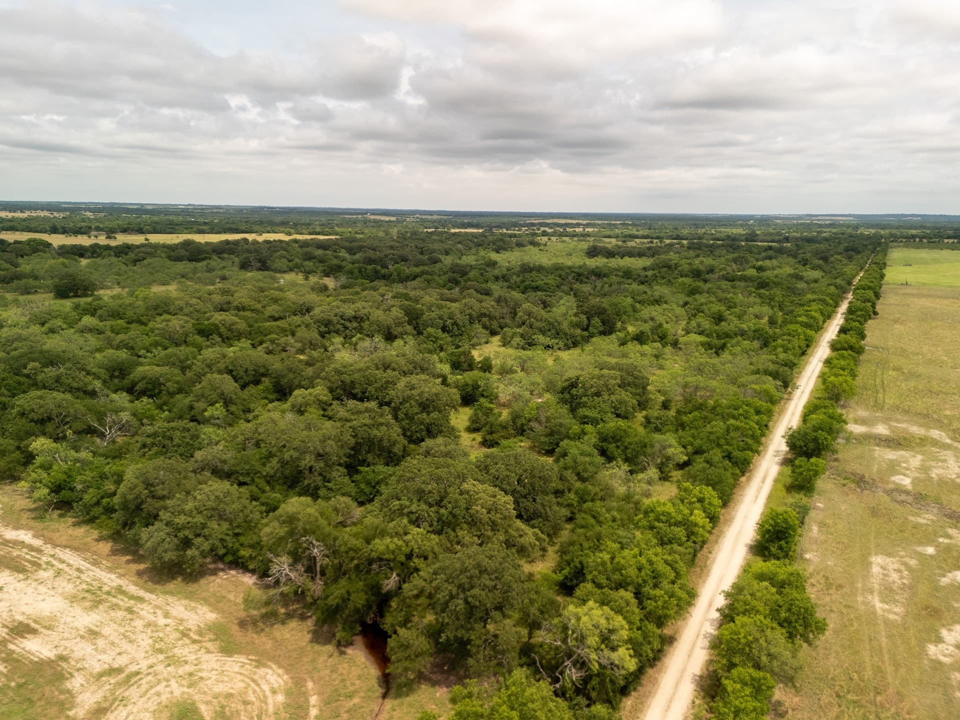 10.01 acres in Falls County - photo 19