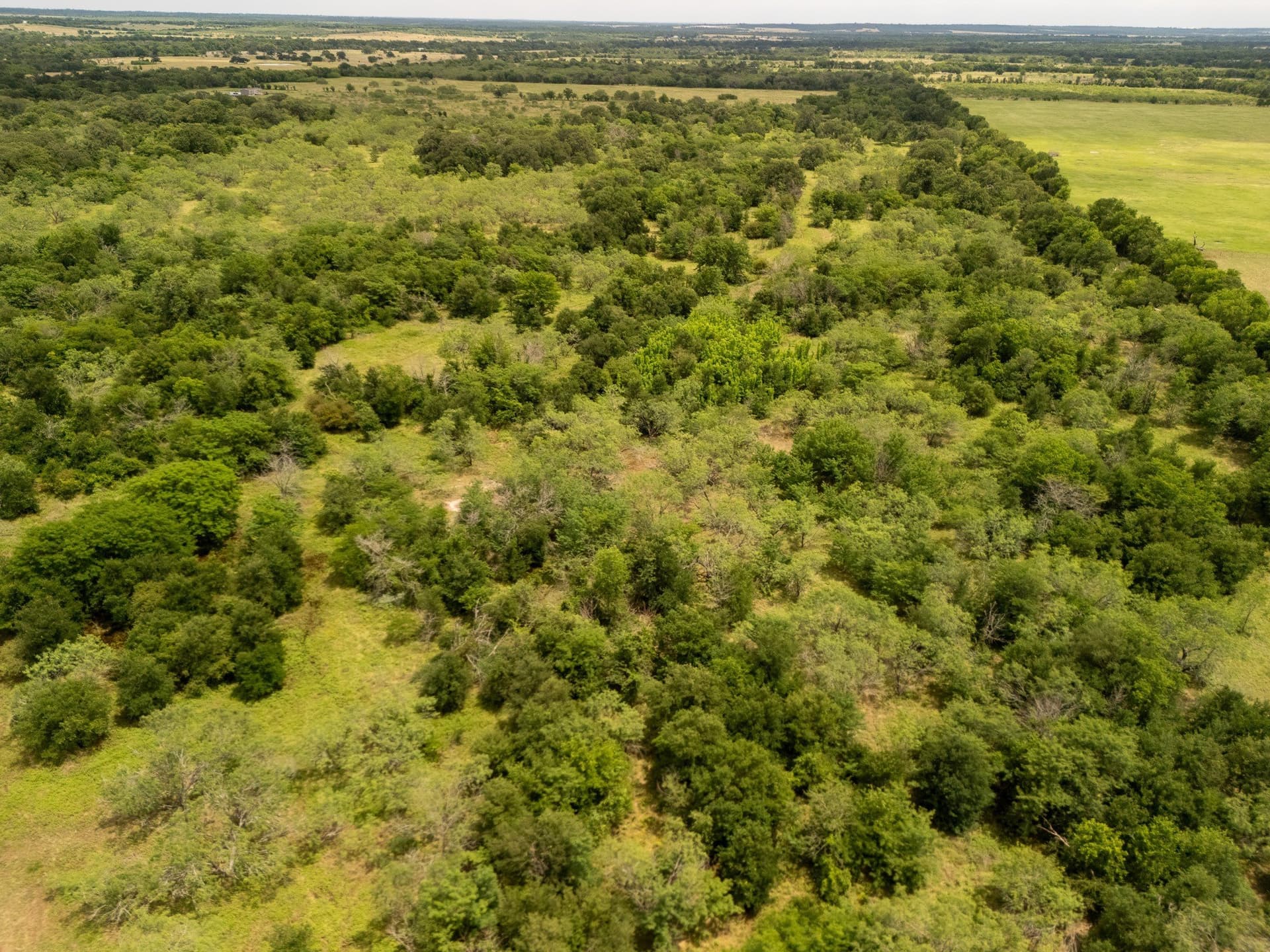 10.01 acres in Falls County - photo 4