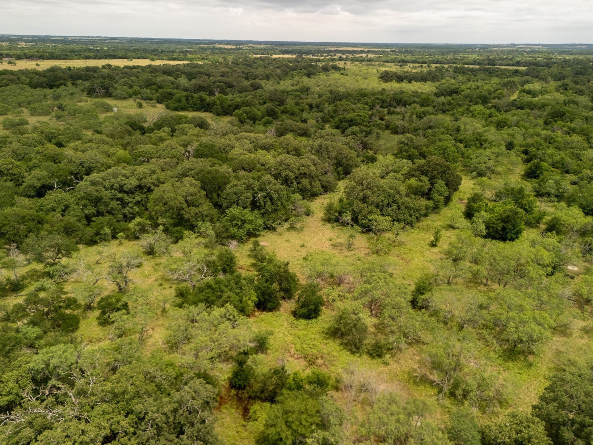 10.01 acres in Falls County - photo 18