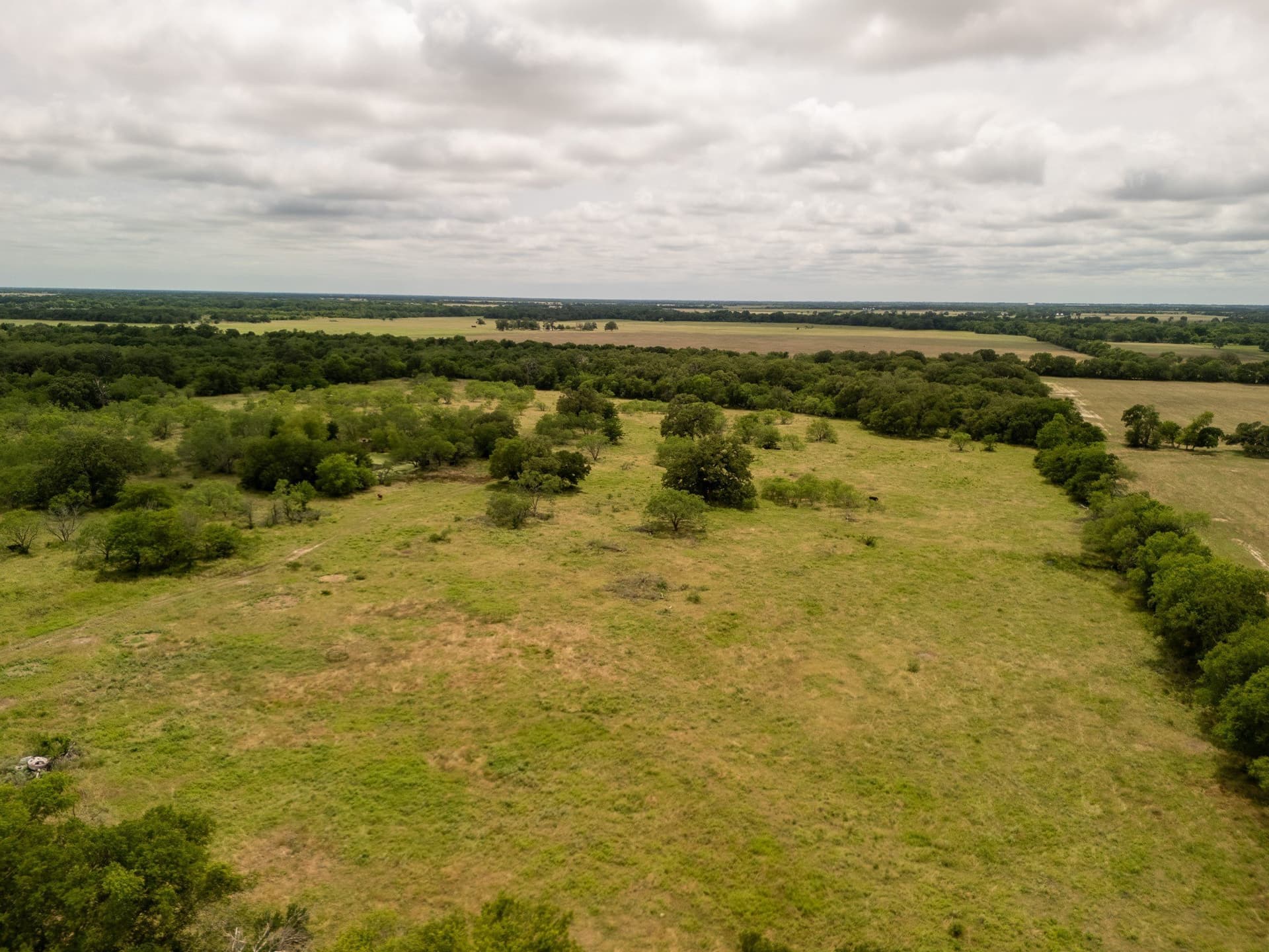 10.01 acres in Falls County - photo 8