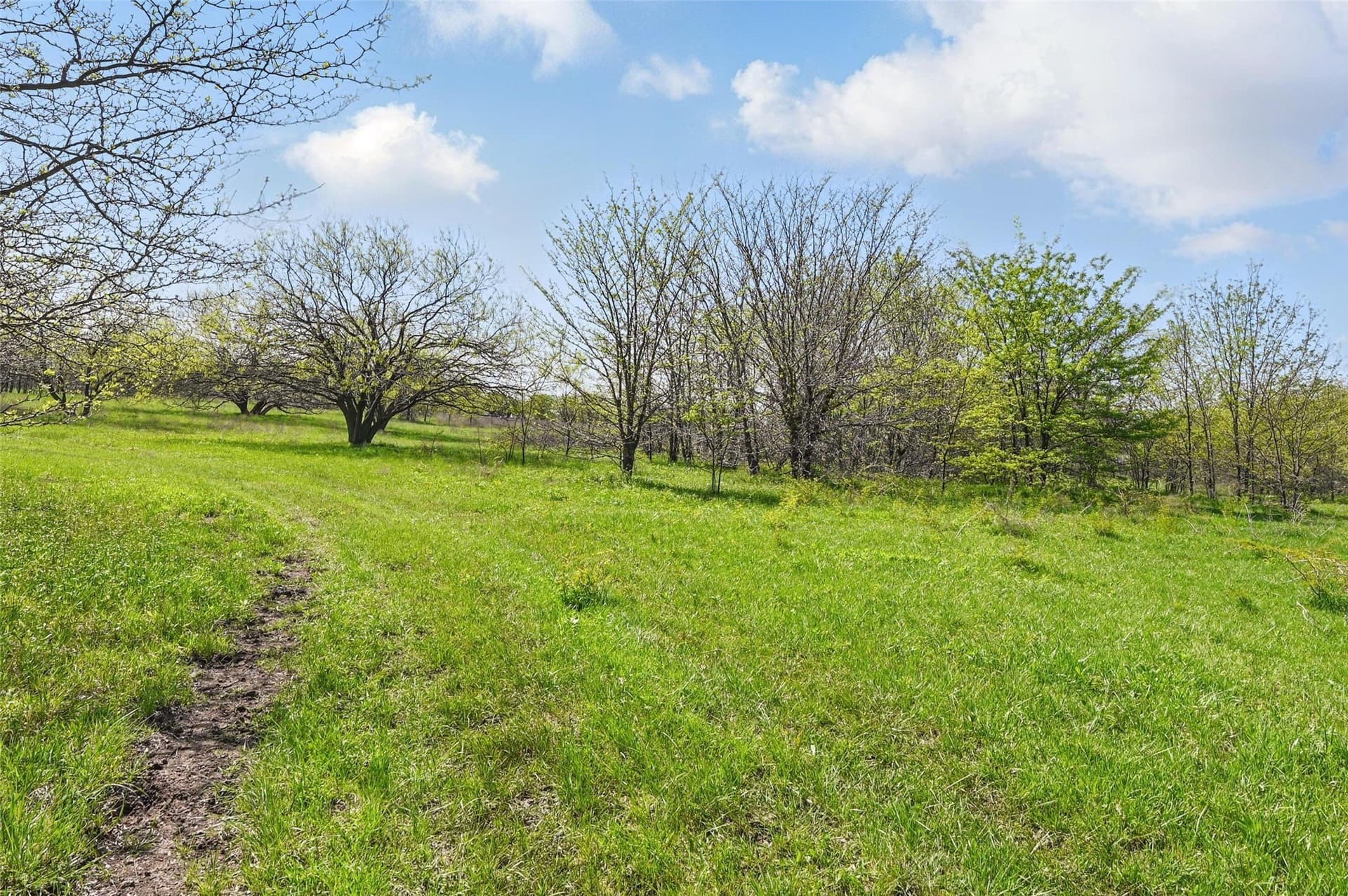 54.03 acres in Grayson County - photo 16