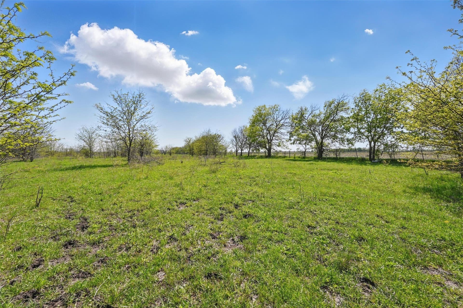 54.03 acres in Grayson County - photo 18