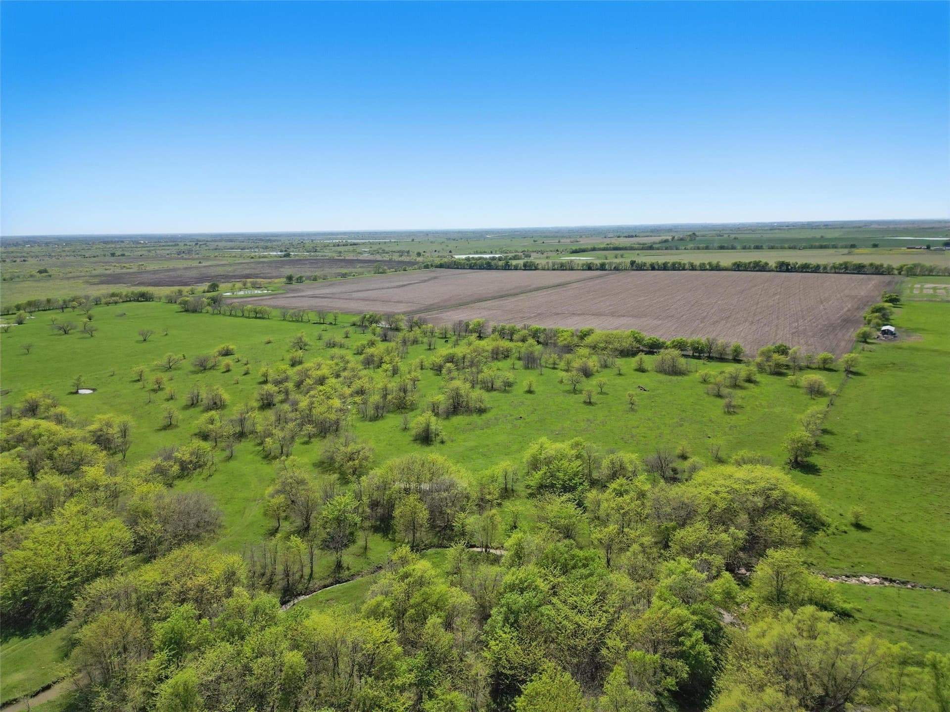 54.03 acres in Grayson County - photo 4