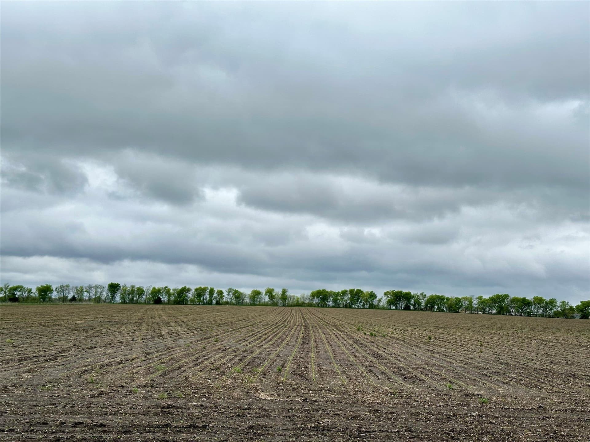 54.03 acres in Grayson County - photo 21
