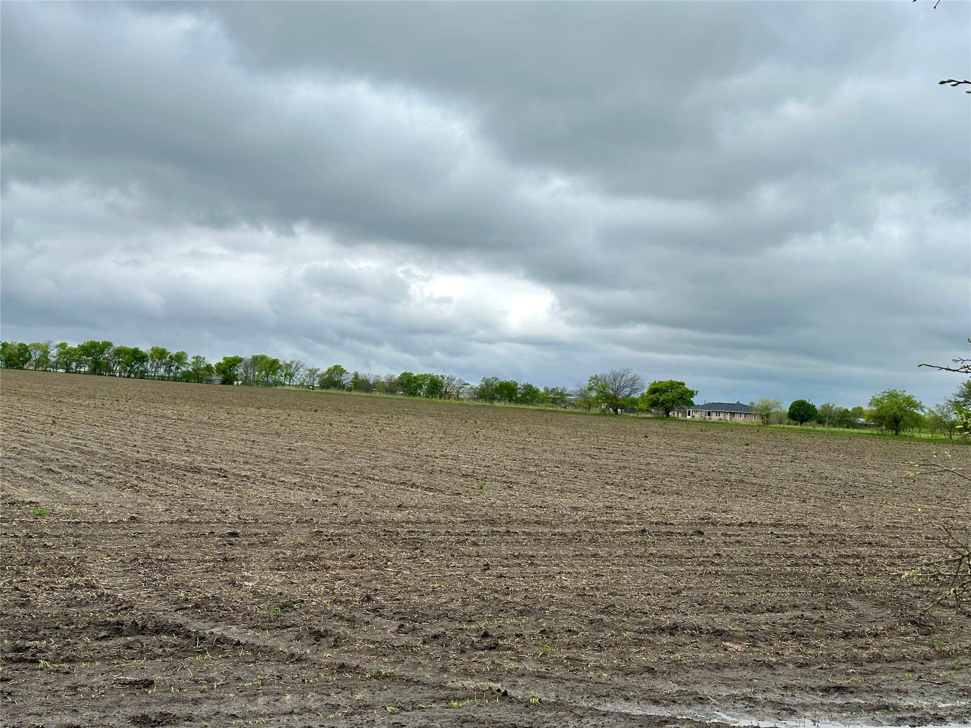 54.03 acres in Grayson County - photo 24