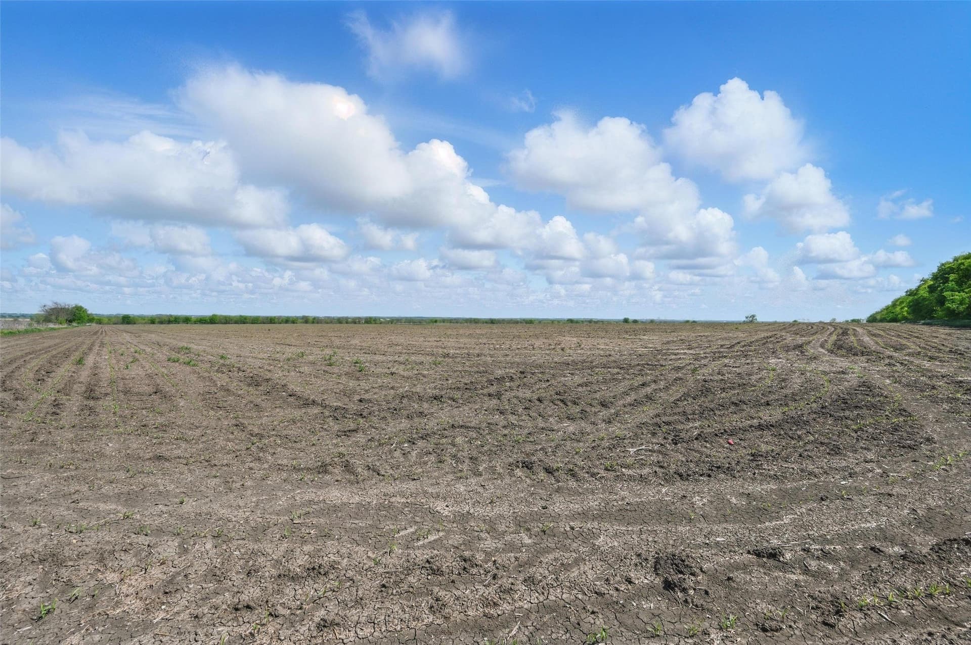 54.03 acres in Grayson County - photo 14