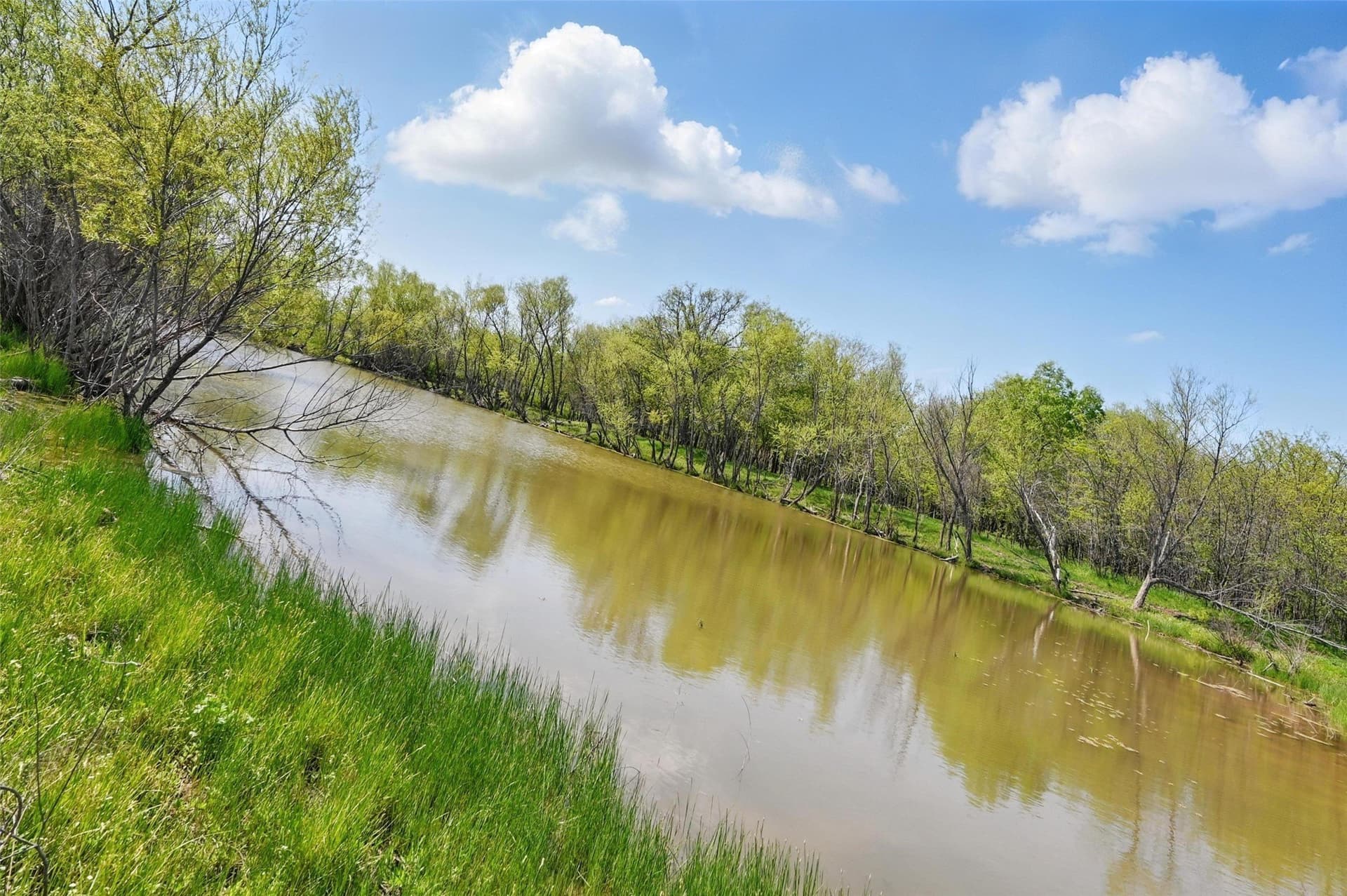 54.03 acres in Grayson County - photo 12