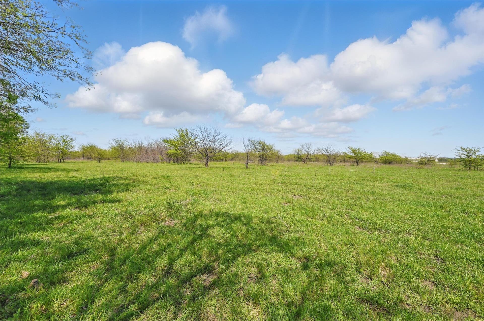 54.03 acres in Grayson County - photo 15
