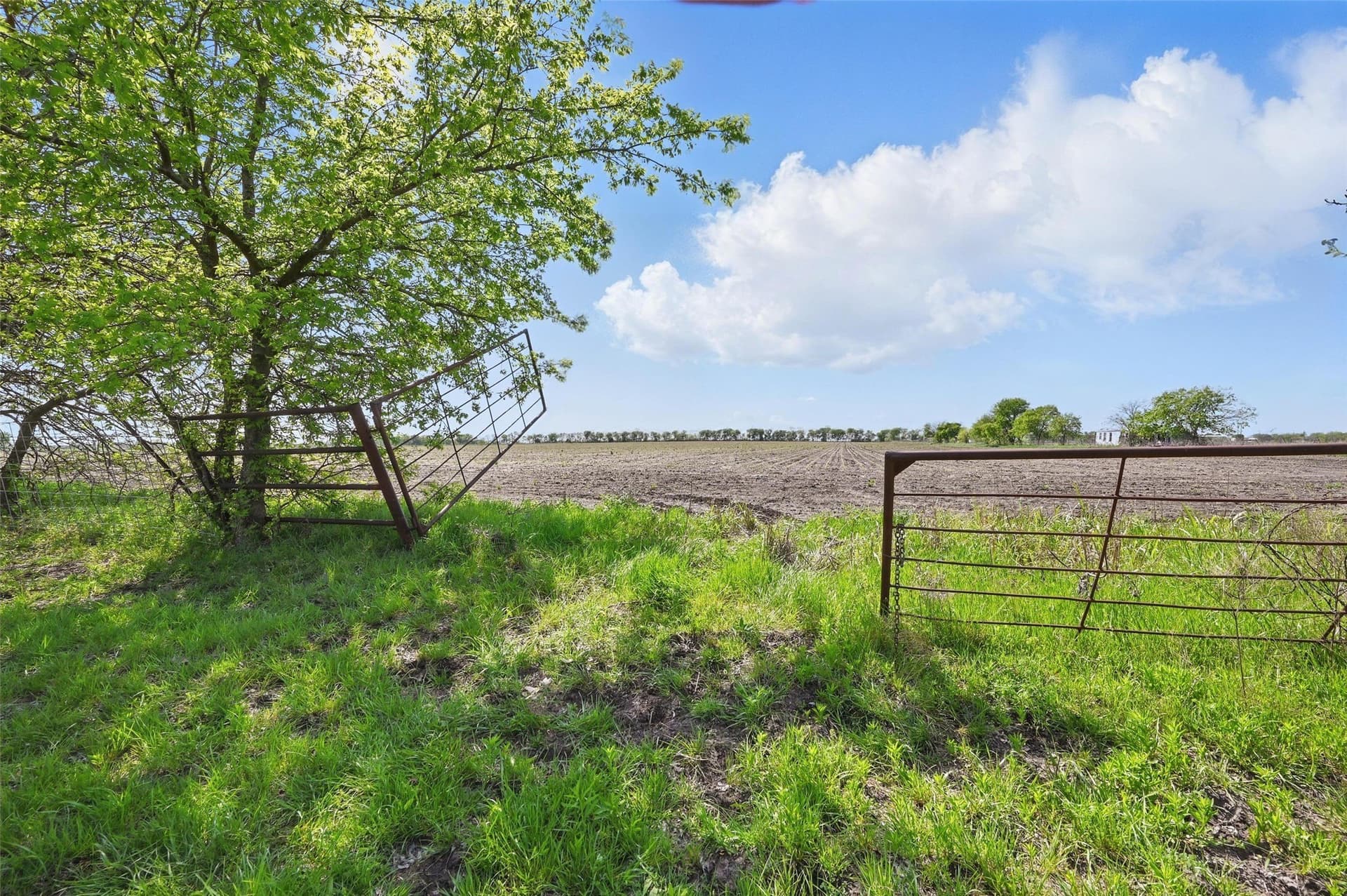54.03 acres in Grayson County - photo 19