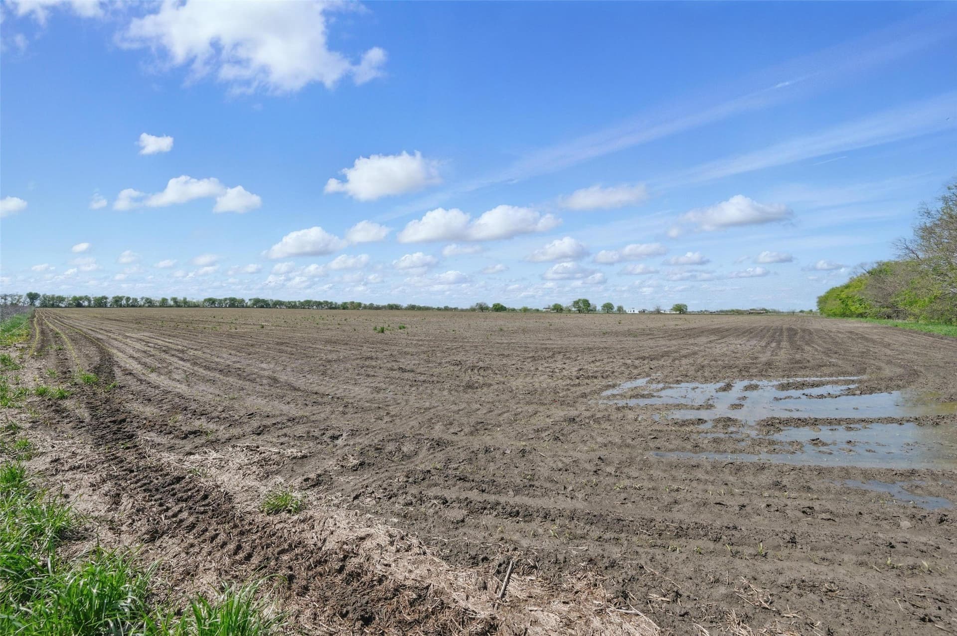 54.03 acres in Grayson County - photo 17