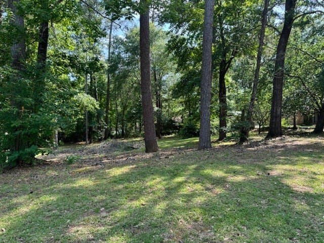 0.5 acres in Texas County - photo 2