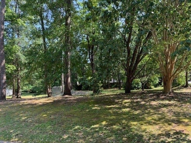 0.5 acres in Texas County - photo 3